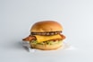 The 2 In 1 Burger